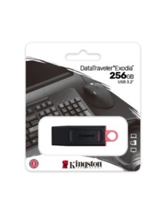 Memoria Usb 256Gb Kingston